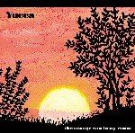 Yucca "the orange sun in my room"