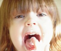 Various Artists "Osteria del Rosso -Semifreddo-"