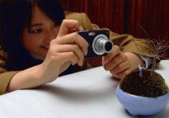 Bonsai Girl 盆栽少女 bonsai shōjo bonsai shoujo